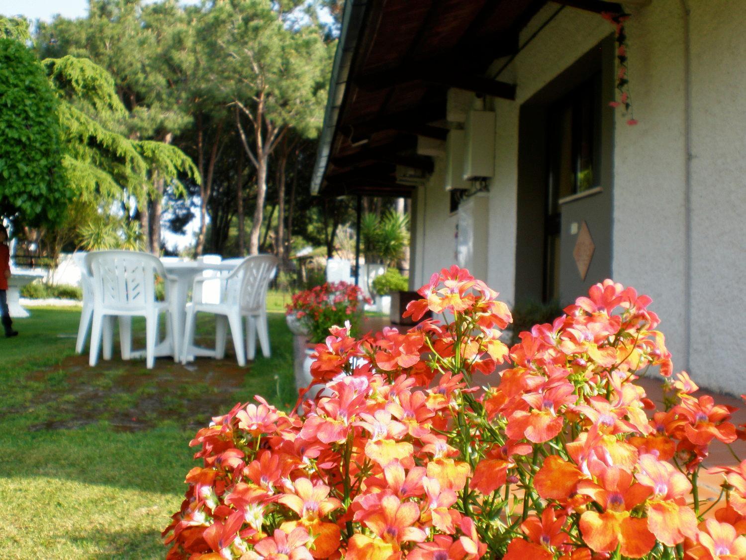 Villa Isabella Marina di Grosseto Exterior foto