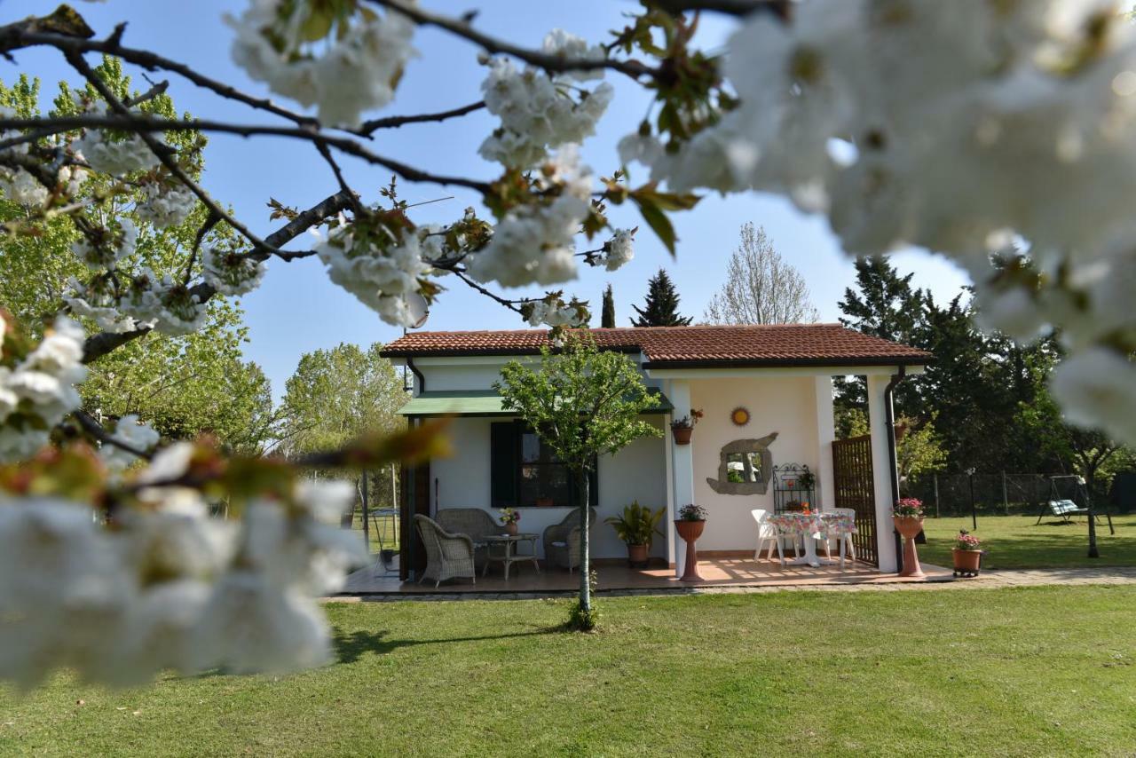 Villa Isabella Marina di Grosseto Exterior foto